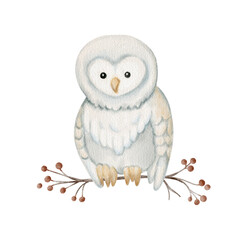Watercolor cute owl sitting on branch with berries. Perfect for winter cards, nursery decor, baby illustration, woodland theme and cozy night designs.