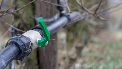 Naklejka premium Irrigation system in an apple orchard with a green valve attached to a black pipe on a tree branch, set in a natural environment.