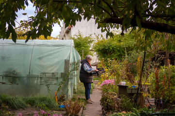 Starsza Pani seniorka wykonująca prace ogrodowe w swoim ogródku jesienną porą. © Monika