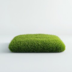 A vibrant patch of green grass on a plain white background. The grass is lush and thick, creating a natural and fresh appearance.