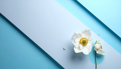 flower and paper