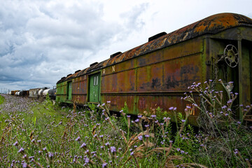 A passenger train car rusts quietly on abandoned tracks. Wildflowers grow around it as dark clouds gather in the sky, hinting at a coming storm. Time has faded its bright colors.