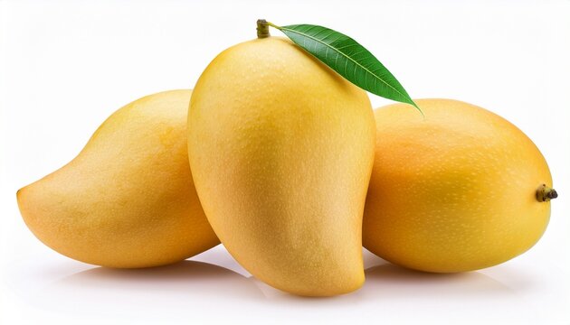 Fresh Ok Rong Mangoes Or Mangifera Indica Premium Fruit With Green Leaf Isolated On White With Clipping Path Tropical Fruit Concep