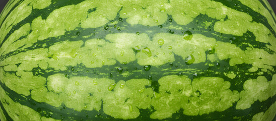 Watermelon skin texture with green stripes and fresh water droplets, organic fruit surface pattern, banner background for summer food and healthy lifestyle themes