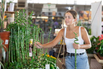 Young woman buyer chooses bamboo in pot in flower shop