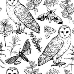 Seamless pattern with owls and moths. Magic forest print. Monochrome vector illustration in engraving style.
