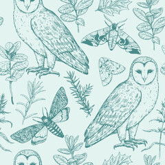 Seamless pattern with owls and moths. Magic forest print. Monochrome vector illustration in engraving style.