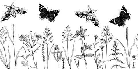 Seamless border with meadow plants, wild cereals and butterflies in sketchy hand-drawn style. Ink drawing, vector illustration.