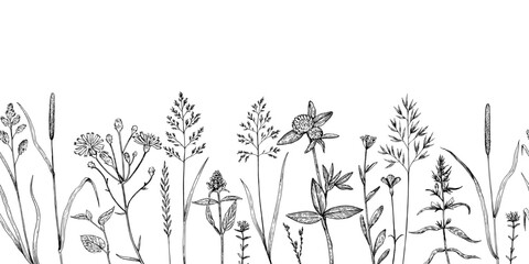 Seamless border with meadow plants and wild cereals in sketchy hand-drawn style. Ink drawing, vector illustration.