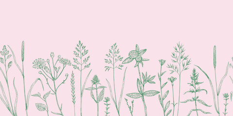 Seamless border with meadow plants and wild cereals in sketchy hand-drawn style. Ink drawing, vector illustration.