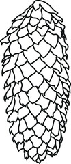 Coloring page with mature spruce cone isolated on white background	
