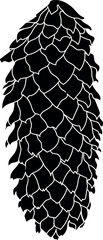 Black silhouette of mature spruce cone isolated on white background