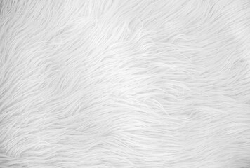 Soft white fluffy fur texture background with light and shadow play