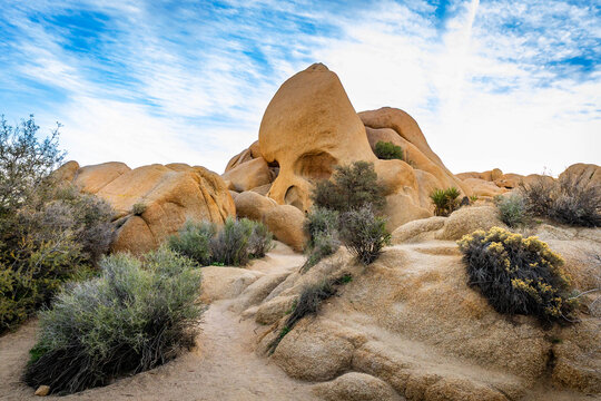 Skull Rock at sunrise Joshua Tree National Park
