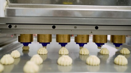Cookie dough forming on automated industrial production line