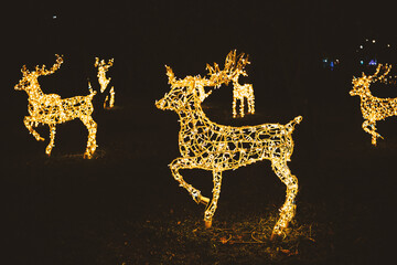 Bright illuminated golden deer figures standing on dark grass during magical winter holiday night display