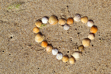 Heart Shape Made of Seashells on Sandy Beach