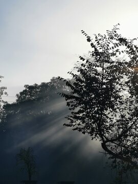 Primeiros raios de sol