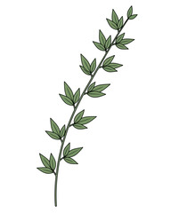 Fototapeta premium Stylized vector graphic illustrating a slender green plant branch adorned with fresh leaves, symbolizing natural growth, vitality, and organic beauty for contemporary designs