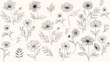 Set hand drawn curly grass and flowers