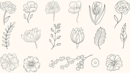 Set hand drawn curly grass and flowers