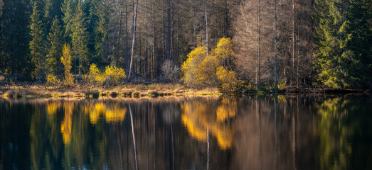 Kleiner Waldsee am Rennsteig im Th&uuml;ringer Wald, Th&uuml;ringen, Deutschland