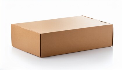 Plain Light Brown Rectangular Cardboard Box Isolated On White Background
