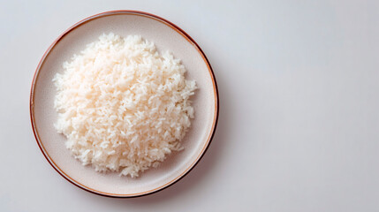 Plato de arroz blanco