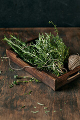Organic fresh herbs on a wooden tray. Natural food ingredients. Copy space