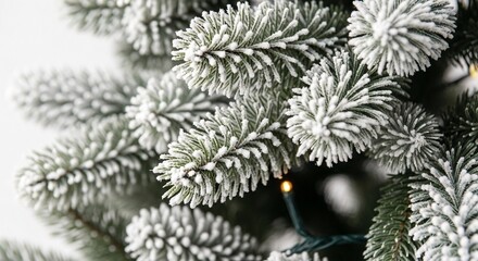 Close up of frosted, snow covered evergreen Christmas tree branches with small string lights creating a winter holiday backdrop.
