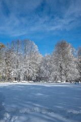 Landscape of South Park in city of Sofia, Bulgaria