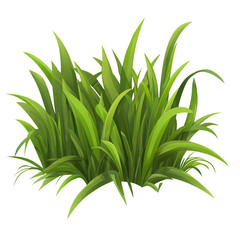 Realistic Green Grass Clump with Long Pointed Blades and Natural Growth Pattern on Transparent Background