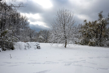 Obraz premium Landscape of South Park in city of Sofia, Bulgaria
