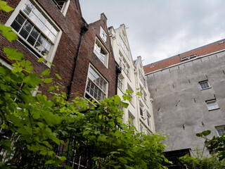 Traditional Dutch brick and white painted buildings with stepped gable roofs surrounding urban courtyard with green foliage