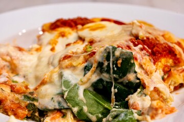 Homemade Vegetable and Cheese Pizza