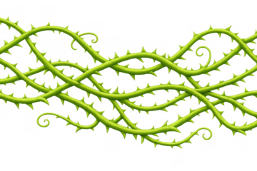 Green thorny vine creepers creating seamless natural border. Tangled barbed bramble branches growing, transparent background