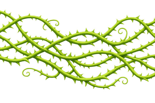 Green thorny vine creepers creating seamless natural border. Tangled barbed bramble branches growing, transparent background