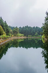 Caja de agua y paisaje boscoso en Nexcoalango, Estado de M&eacute;xico.