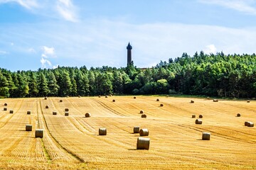 Straw bales in the Scottish fields, Scotland, UK