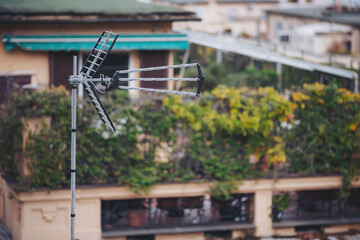 A rooftop antenna stands tall above a building covered with plants. Bright sunlight shines down, showing the vibrant greenery. The setting shows a mix of nature and urban life