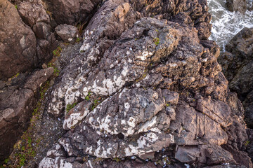 Rugged Rocky Shoreline with Craggy Rocks and Ocean Waves in Tofino, Vancouver Island
