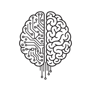 Human brain vs artificial intelligence concept vector. Half circuit board technology and half organic biological mind illustration representing logic and creativity.
