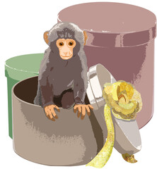 Cute monkey with gift box