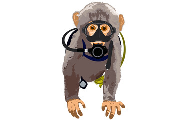 Cute Monkey in Scuba gear