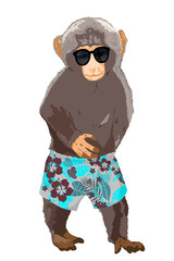 Cute monkey wearing a sunglasses