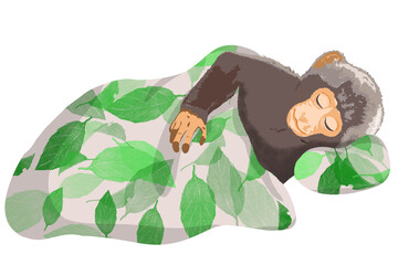 Cute monkey sleeping peacefully