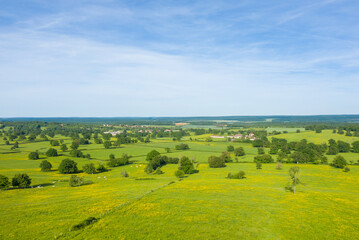 Fototapeta premium Wide aerial view of blooming yellow wildflowers scattered across lush green fields near Cuncy les Varzy, with distant farmhouses and a clear blue sky creating a bright, cheerful landscape.