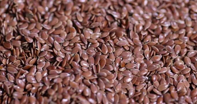 dried flaxseeds from which flaxseed oil can be obtained or used for nutrition, many flax seeds after drying are used both in cooking and in medicine