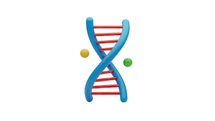 3D DNA Helix Model with Spheres