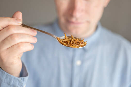 Close-up of a spoon with dried mealworms held over a plate. Edible insects as alternative protein and future food solution. Sustainable nutrition and eco-friendly diet concept.